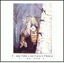 In the Spirit of Crazy Horse