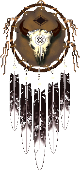Shield from Silverhawk